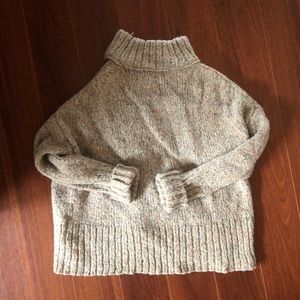 J. Crew Wool Turtle Neck